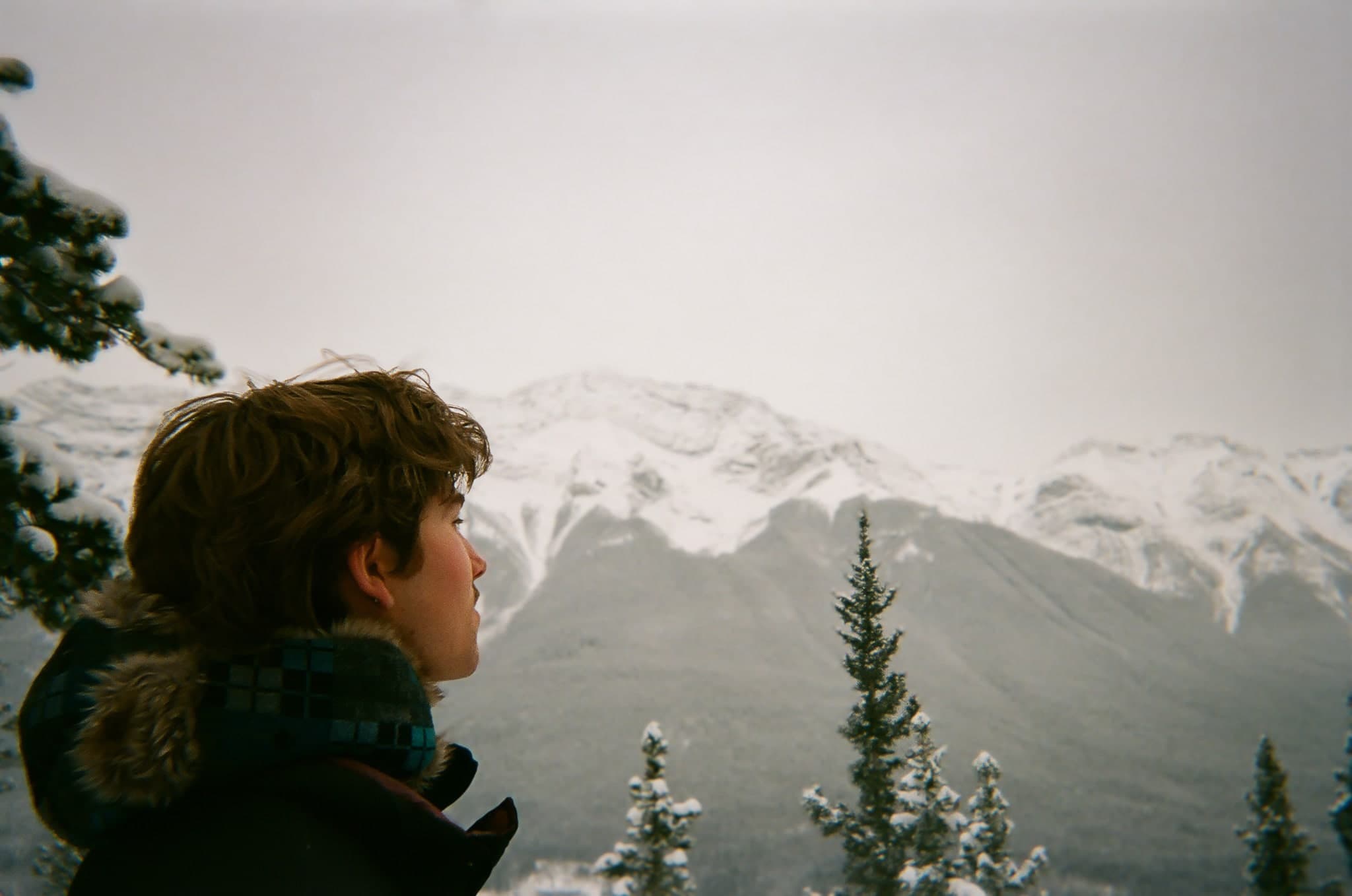 Shayne Lachapelle